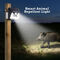 2 In 1 Solar Light With Animal Repellent Light  (LL21)