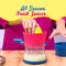 All Season Fruit Juicer (FJ20)
