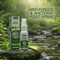 Anti Fungus & Bacteria Foot Spray (CD-FCOS)