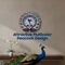 Royal Peacock Acrylic Designer Wall Clock (DWC)
