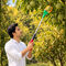 Garden Fruit Picker (GHT10)