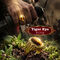 Tiger Eye Ring (MGJC6)