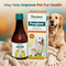Pet Fur & Hair Support Nutritional Tonic (PETC3)