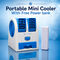 Mini Portable Cooler With Powerbank (CF1)