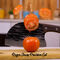 Super Sharp Chef Knife For Meat & Vegetable Cutting (CK8)