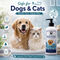 Seawater Foaming Shampoo For Dogs & Cats (PETC5)