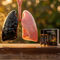 Tar Detox Lungs Wellness Shot Pack of 20 (NUTRA43)
