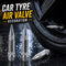 Car Tyre Air Valve Decoration (TVD2)