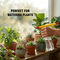 Adjustable Garden Sprayer Pump With Brass Nozzle (MGS3)