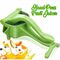 Hand Press Fruit Juicer (FJ24)