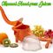 Hand Press Fruit Juicer (FJ24)