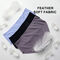 No Visible Panty Line Seamless Feather Soft Panties For Women-Pack of 3 (3SP1)