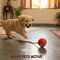Rechargeable Smart Rolling Ball For Pet (PET6)