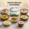 Perfect Electric Curd Maker (EFM24)
