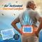 Back Pain Relief Patches (BPR13)
