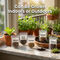 Pack of 5 Herb Seeds - Lettuce, Basil Green, Parsley, Celery, Oregano (GHS1)
