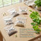 Pack of 5 Herb Seeds - Lettuce, Basil Green, Parsley, Celery, Oregano (GHS1)
