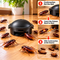 Cockroach Killing Bait Station Pack of 6 (CKG3)