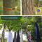 Adjustable Clothesline With Windproof Hooks & Clips (CLN5)