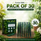 Plant Growth Booster Sticks (PFS2)