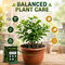 Plant Growth Booster Sticks (PFS2)