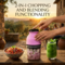 Electric Food Chopper And Blender (EC10)