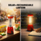 Big Solar Rechargeable Lantern (LL57)