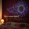 Smart RGB LED Fairy String Lights With Bluetooth App & Remote Control (LL61)