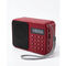 Long Range Super FM Radio With Display (BLS27)
