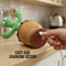 Rechargeable Dancing and Talking Cactus Toy (RCT)