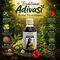Traditional Adivasi Herbal Hair Oil (HC12)