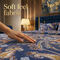 Pack of 5 Beautiful Home Double Bedsheets Set With 2 Blankets (5BS2FB)