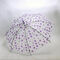 Buy 1 Get 1 Transparent Multi Colour Umbrellas (2U2)