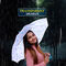 Buy 1 Get 2 Transparent Multi Colour Umbrellas (3U3)