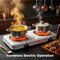 2000W Electric Flameless Cooking Stove (ECS15)