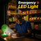 Rechargeable High-Speed Fan With Emergency Light (EF38G)