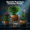 3 Rainbow Bloom Decorative Planters With Stand (3DP1)
