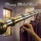 12 Premium Stainless Steel Curtain Rings With Hooks (12HS)