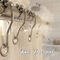 12 Premium Stainless Steel Curtain Rings With Hooks (12HS)