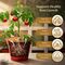 Pack of 6 Coconut Coir For Plant Growth (COC1)