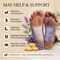 Detox Footpatch With Ginger Extract Pack of 10 (DTXG10)