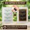 Detox Footpatch With Ginger Extract Pack of 10 (DTXG10)