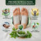 Detox Foot patch with Green tea Extract pack of 30 (DTXGT30)