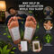 Detox Foot patch with Green tea Extract pack of 40 (DTXGT40)