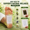 Detox Foot patch with Green tea Extract pack of 40 (DTXGT40)