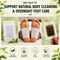 Detox Foot patch with Green tea Extract pack of 40 (DTXGT40)