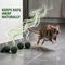 Rat & Insect Repellent Balls Pack Of 50 (RR3)