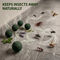Rat & Insect Repellent Balls Pack Of 50 (RR3)