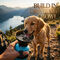 Pet Anti-Spill Water Bottle (PET14)