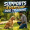 Sonic Dog Trainer and Repeller Device (PET11)